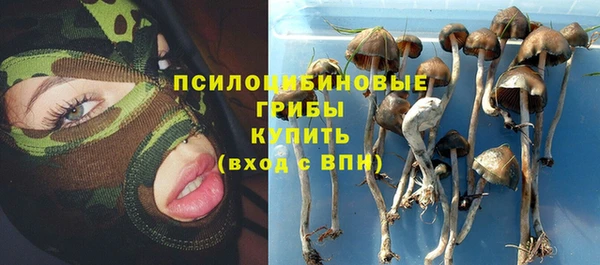 прущие крисы Вязники